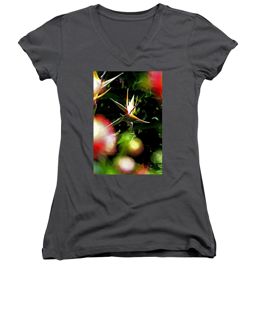 Bird Of Paridise Women's V-Neck featuring the photograph A Paridise by Joseph Coulombe