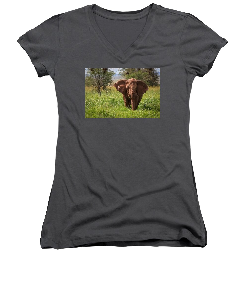 Namibia Women's V-Neck featuring the photograph African Desert Elephant by Gregory Daley MPSA