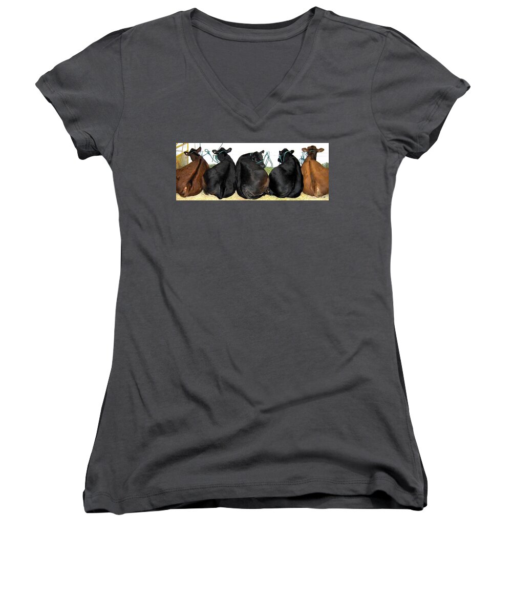 All Eyes Front Women's V-Neck featuring the photograph All Eyes Front by Will Borden