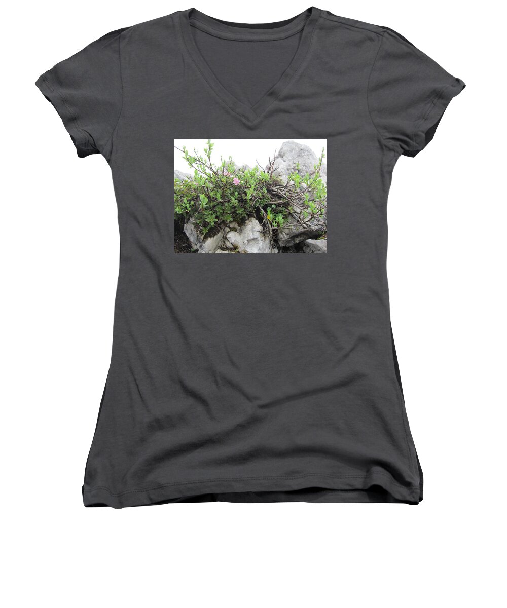 Pink Women's V-Neck featuring the photograph Alpine Beauty by Pema Hou