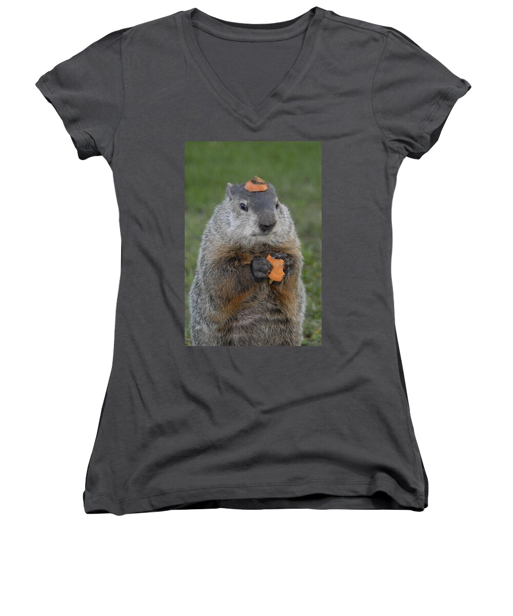 Groundhog Women's V-Neck featuring the photograph And have YOU looked in the mirror lately by Paul W Faust - Impressions of Light