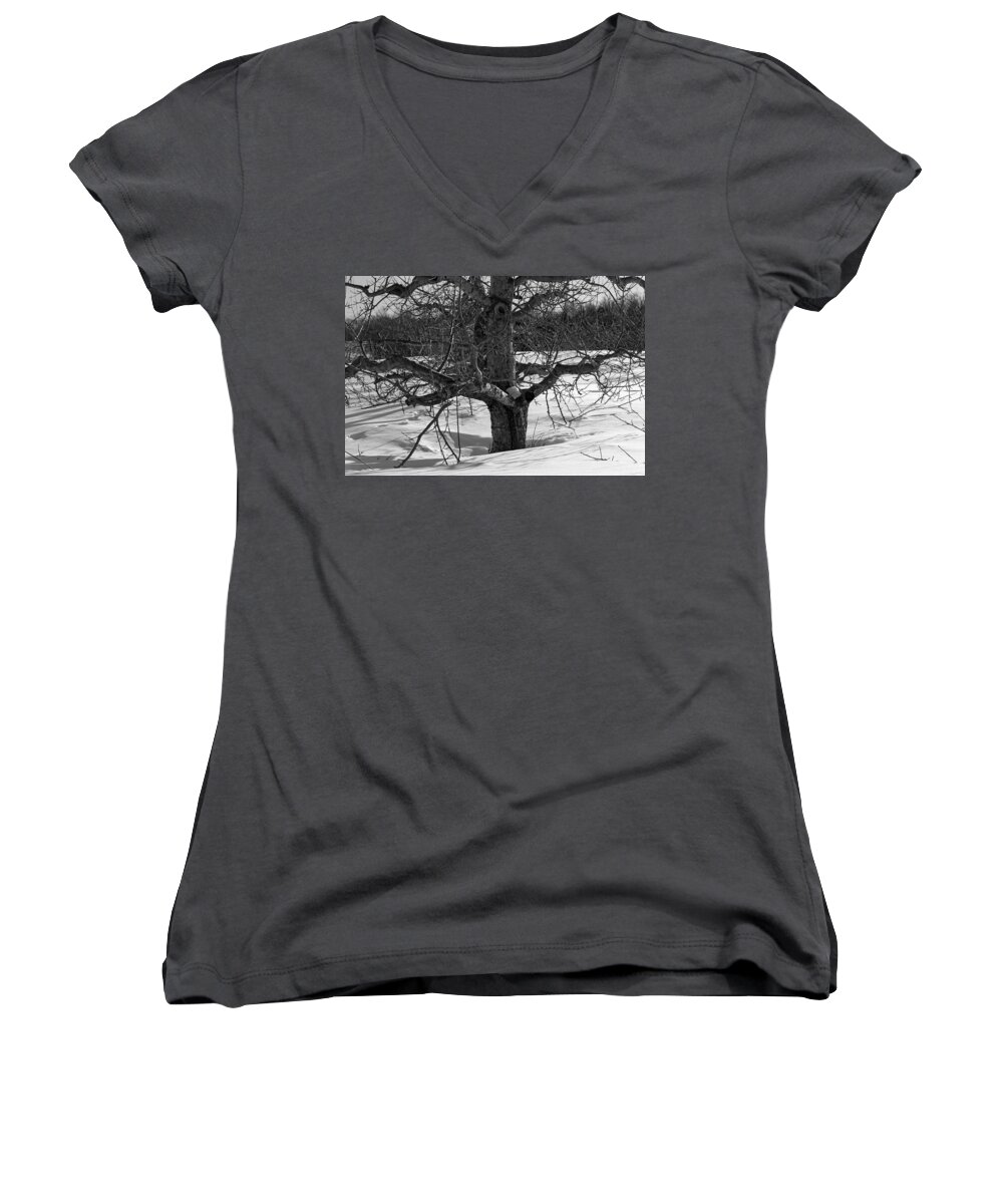 Meadowbrook Orchards Women's V-Neck featuring the photograph Apple Trees in Winter BW 2 by Michael Saunders