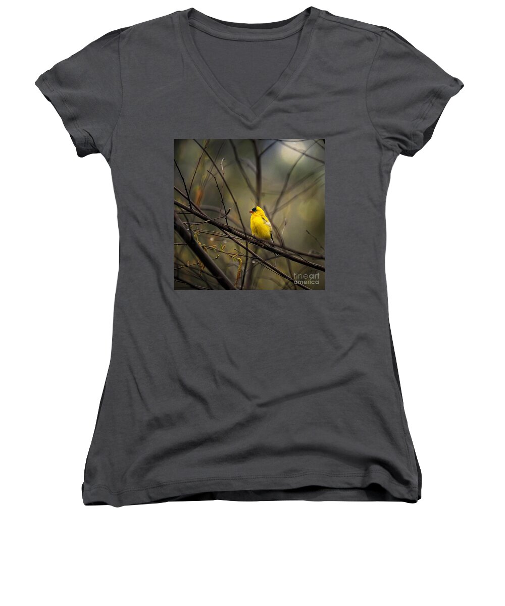 Bird Women's V-Neck featuring the photograph April Showers in Square Format by Lois Bryan