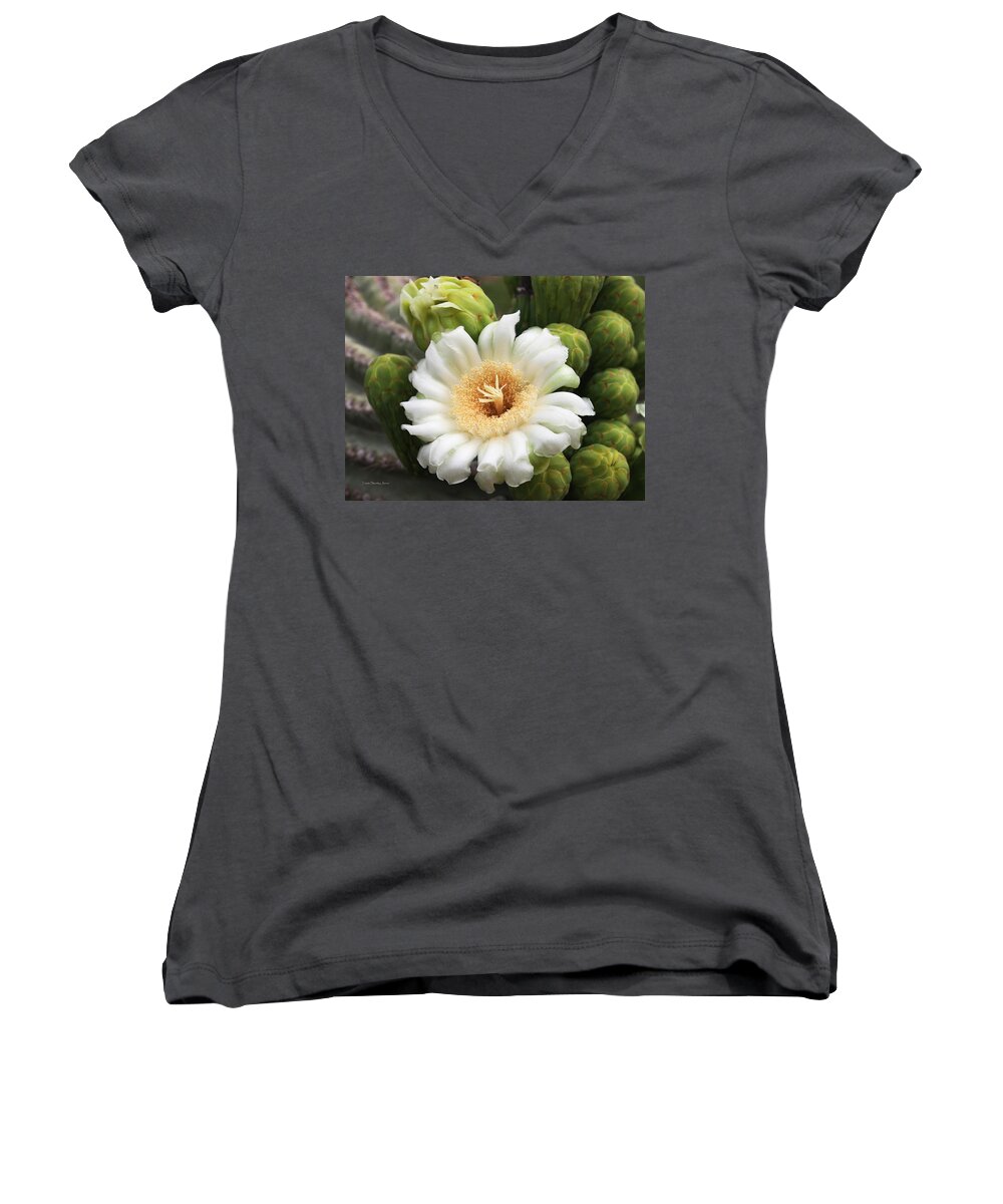 Arizona State Flower Women's V-Neck featuring the photograph Arizona State Flower The Saguaro Blossom by Tom Janca