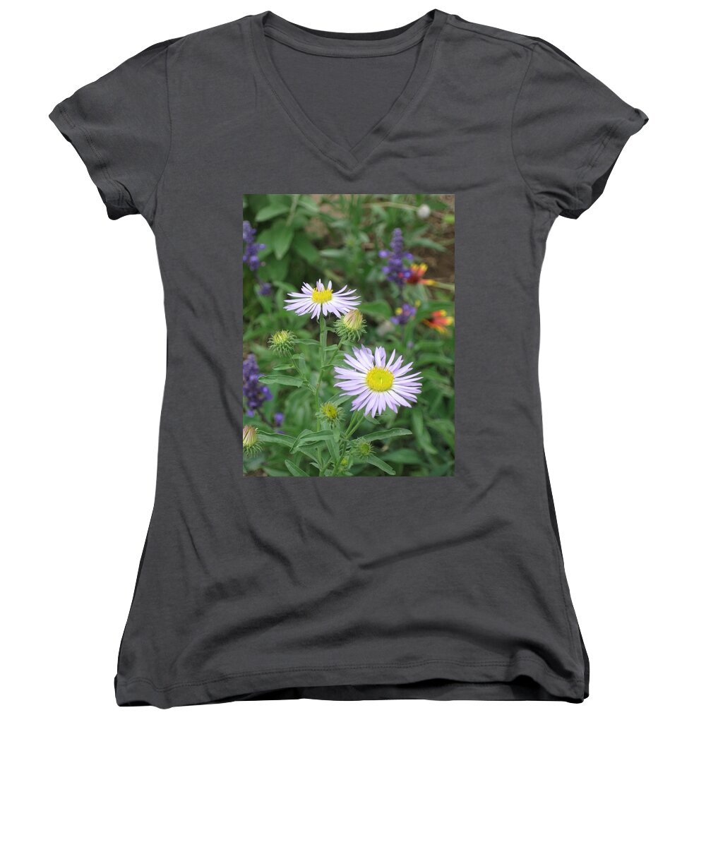 Asters Women's V-Neck featuring the photograph Asters in close-up by Ron Monsour