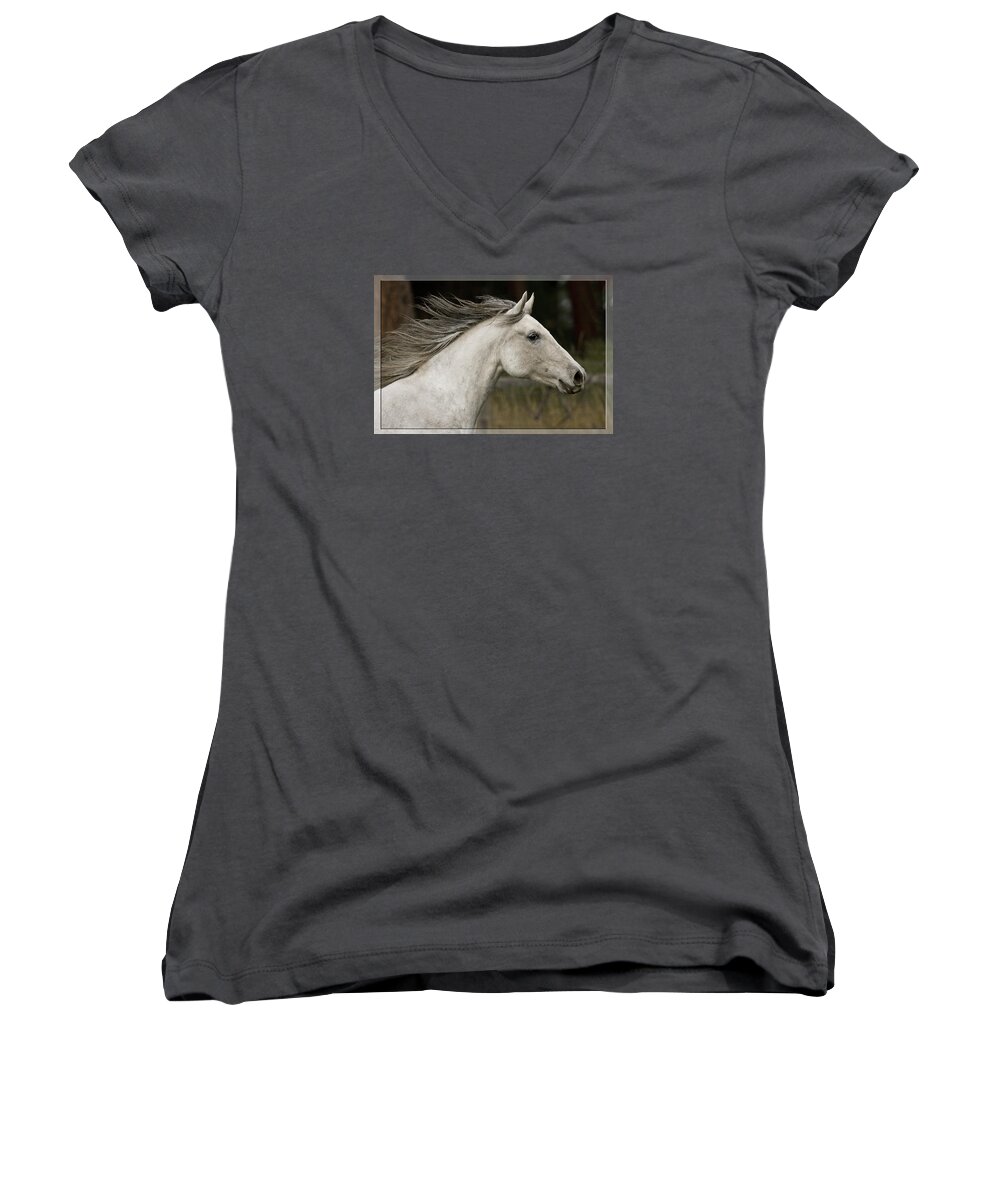 At A Full Gallop Women's V-Neck featuring the photograph At A Full Gallop by Wes and Dotty Weber