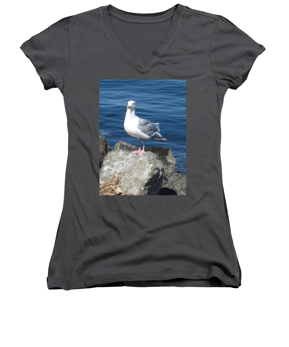 Seagull Women's V-Neck featuring the photograph Attitude by David Trotter