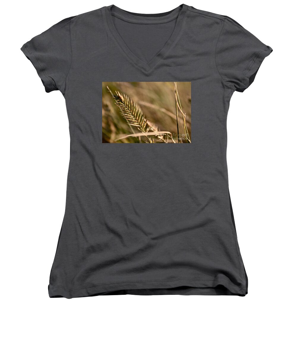 Grass Women's V-Neck featuring the photograph Autumn Grasses by Linda Bianic