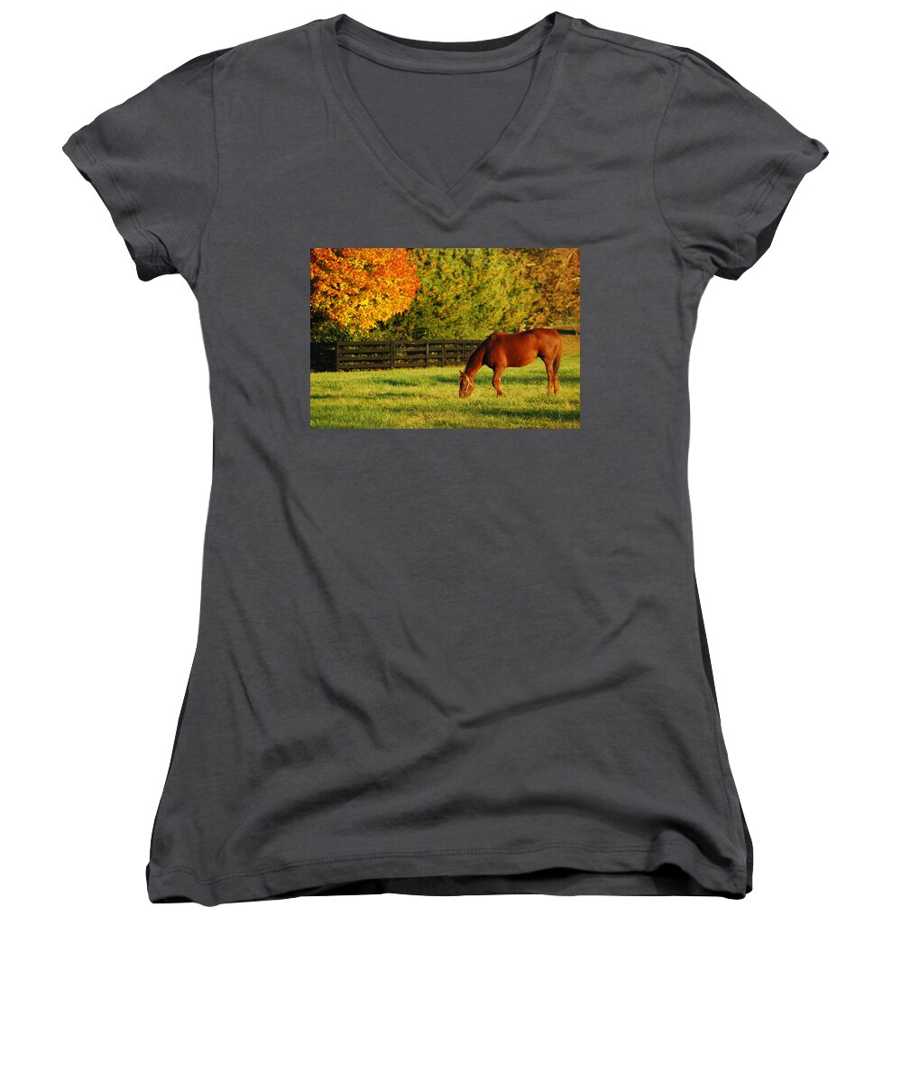 Horse Women's V-Neck featuring the photograph Autumn Grazing by James Kirkikis