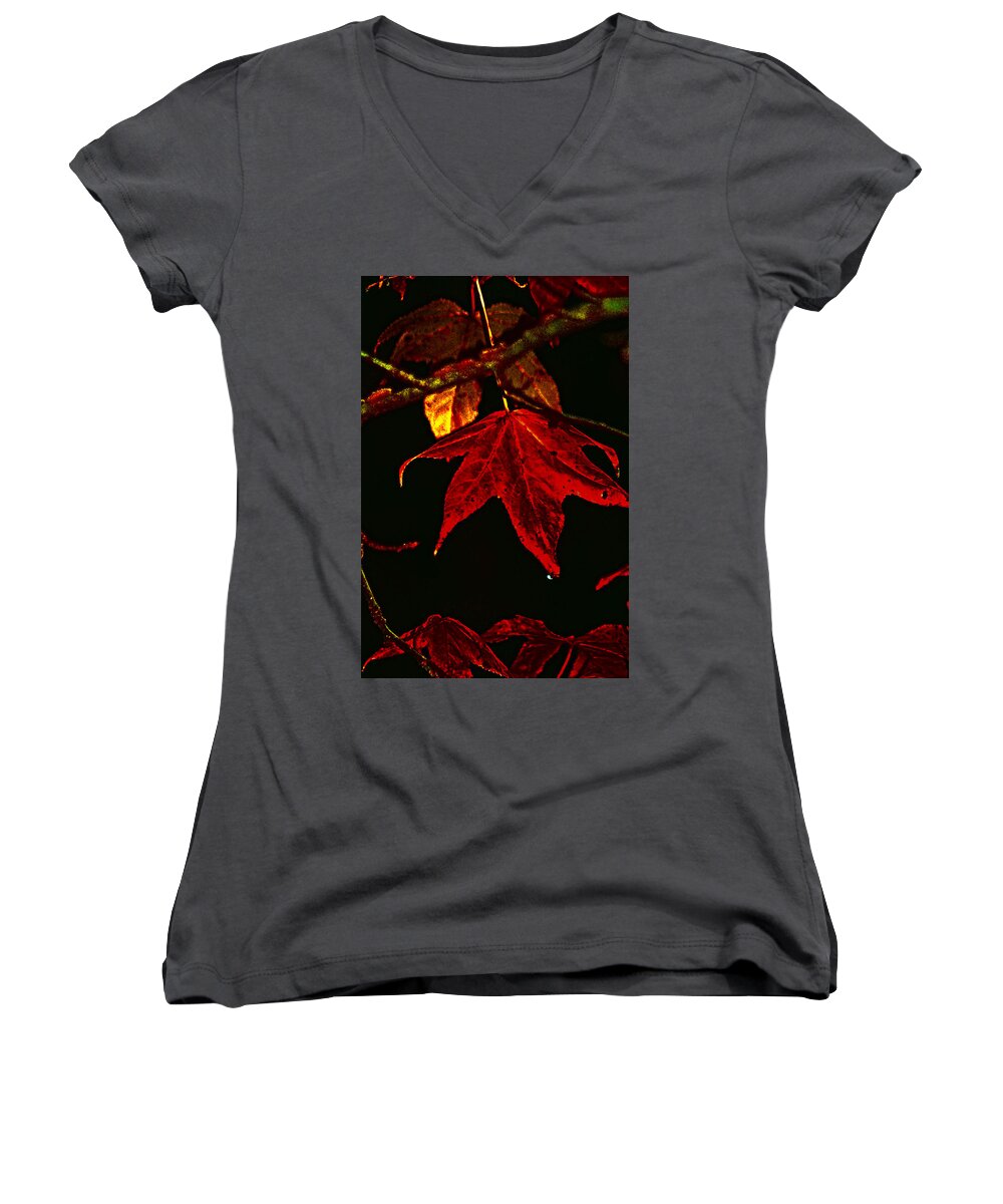 Red Leaves Women's V-Neck featuring the photograph Autumn Leaves by Lesa Fine