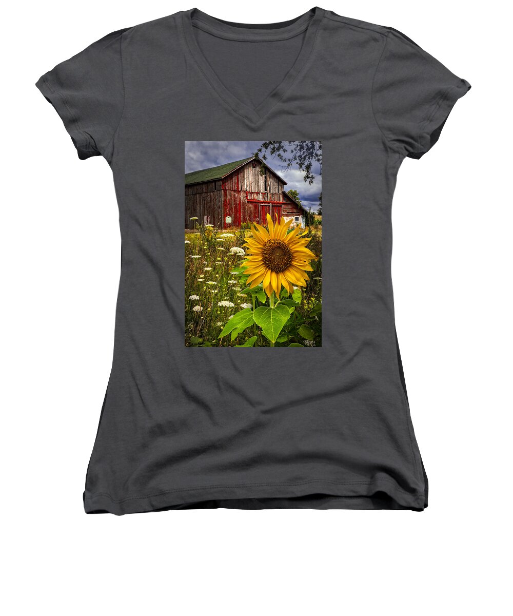 Barn Women's V-Neck featuring the photograph Barn Meadow Flowers by Debra and Dave Vanderlaan