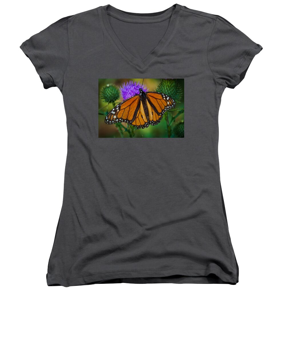 Monarch Women's V-Neck featuring the photograph Beautifully aged by Cheryl Baxter