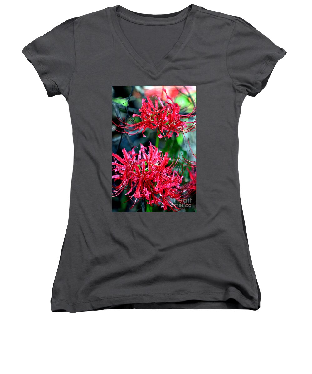Red Spider Lily Women's V-Neck featuring the photograph Beauty of Red Spider Lilies by Kathy White