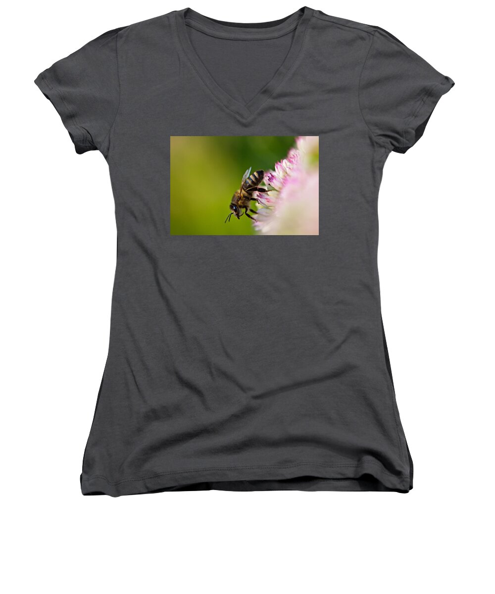 Animal Women's V-Neck featuring the photograph Bee Sitting on a Flower by John Wadleigh