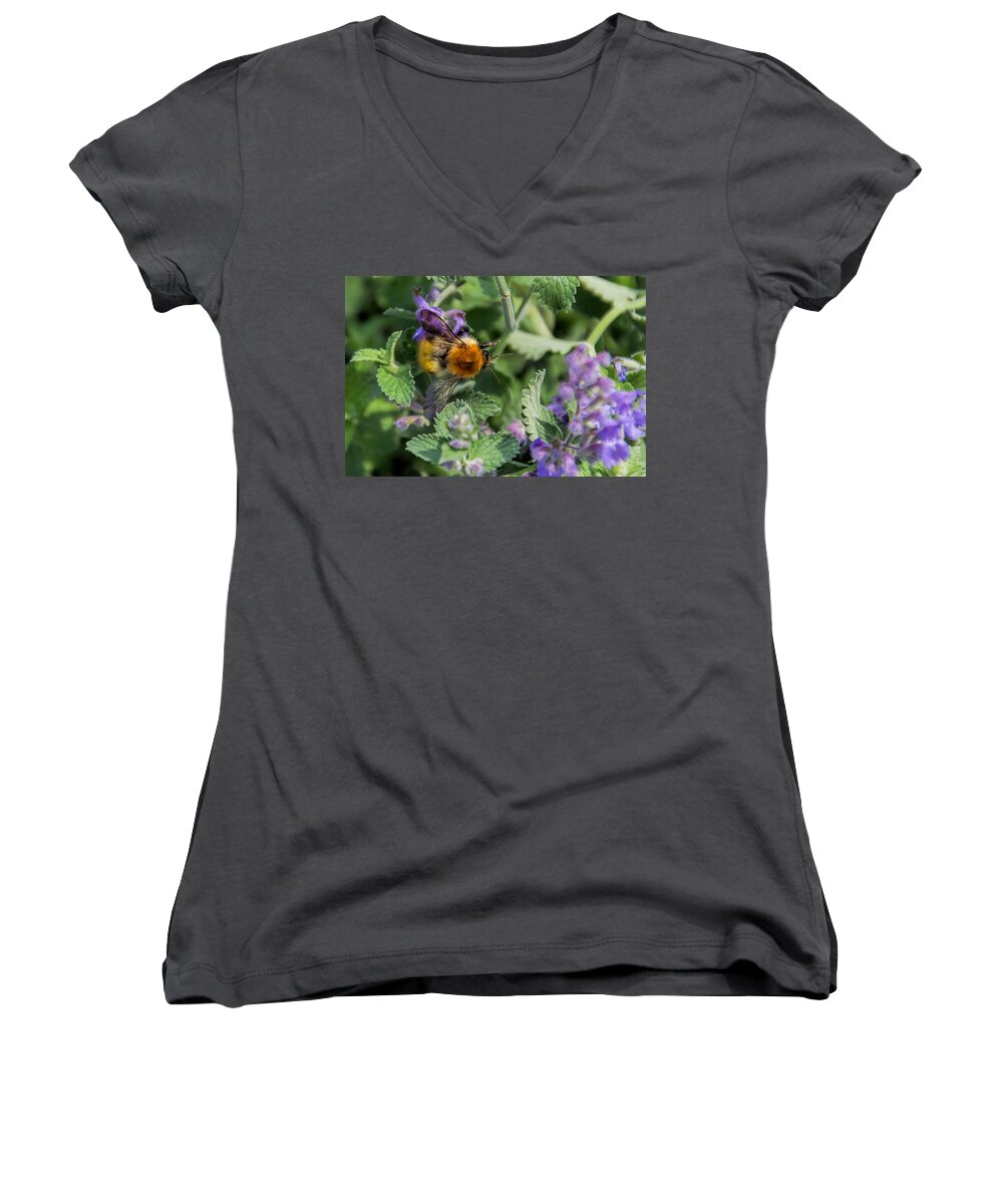 Bee Women's V-Neck featuring the photograph Bee Too by David Gleeson
