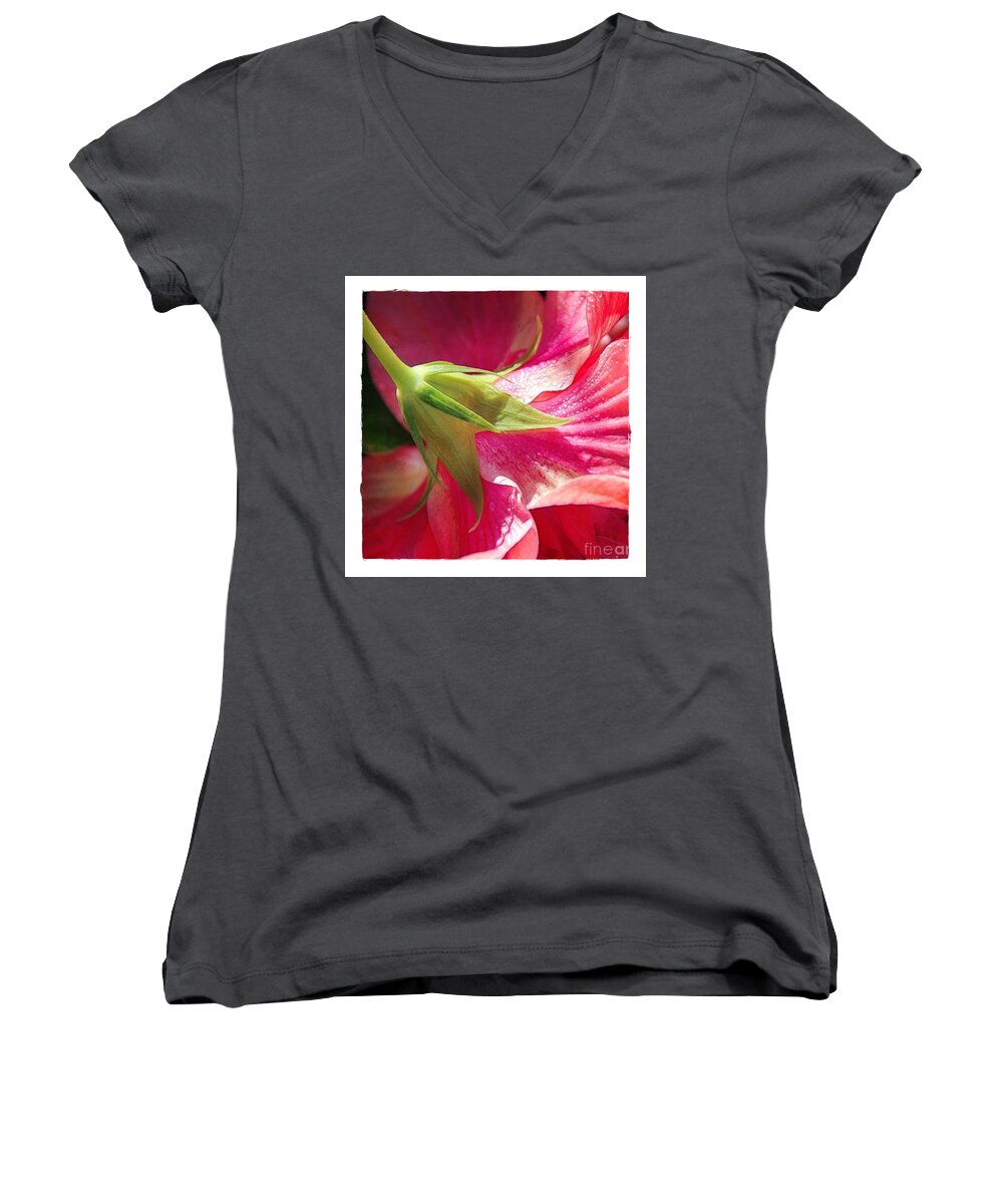 Hibiscus Women's V-Neck featuring the photograph Behind the Scenes by Judi Bagwell
