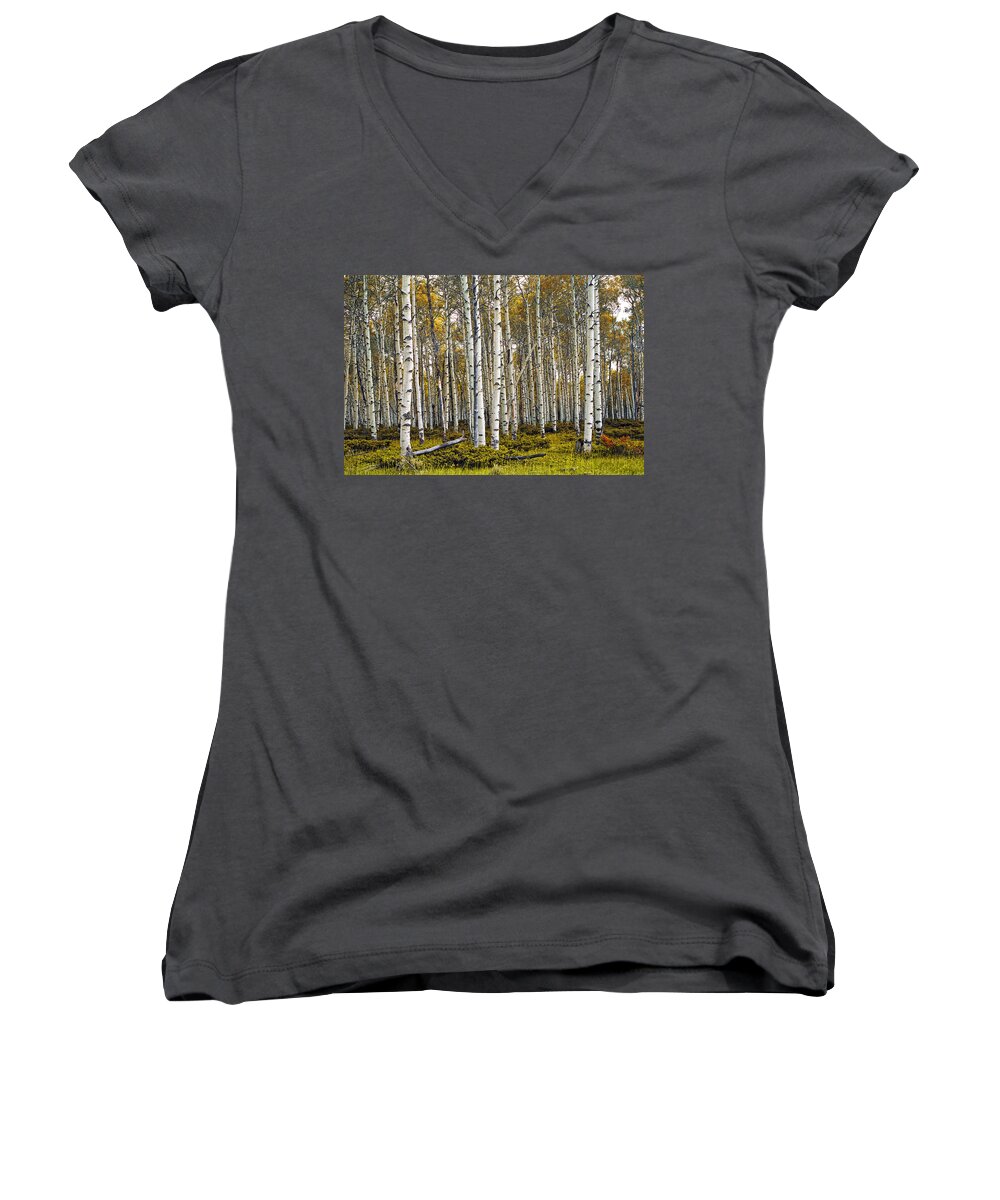 Forest Women's V-Neck featuring the photograph Aspen Trees in Autumn by Randall Nyhof