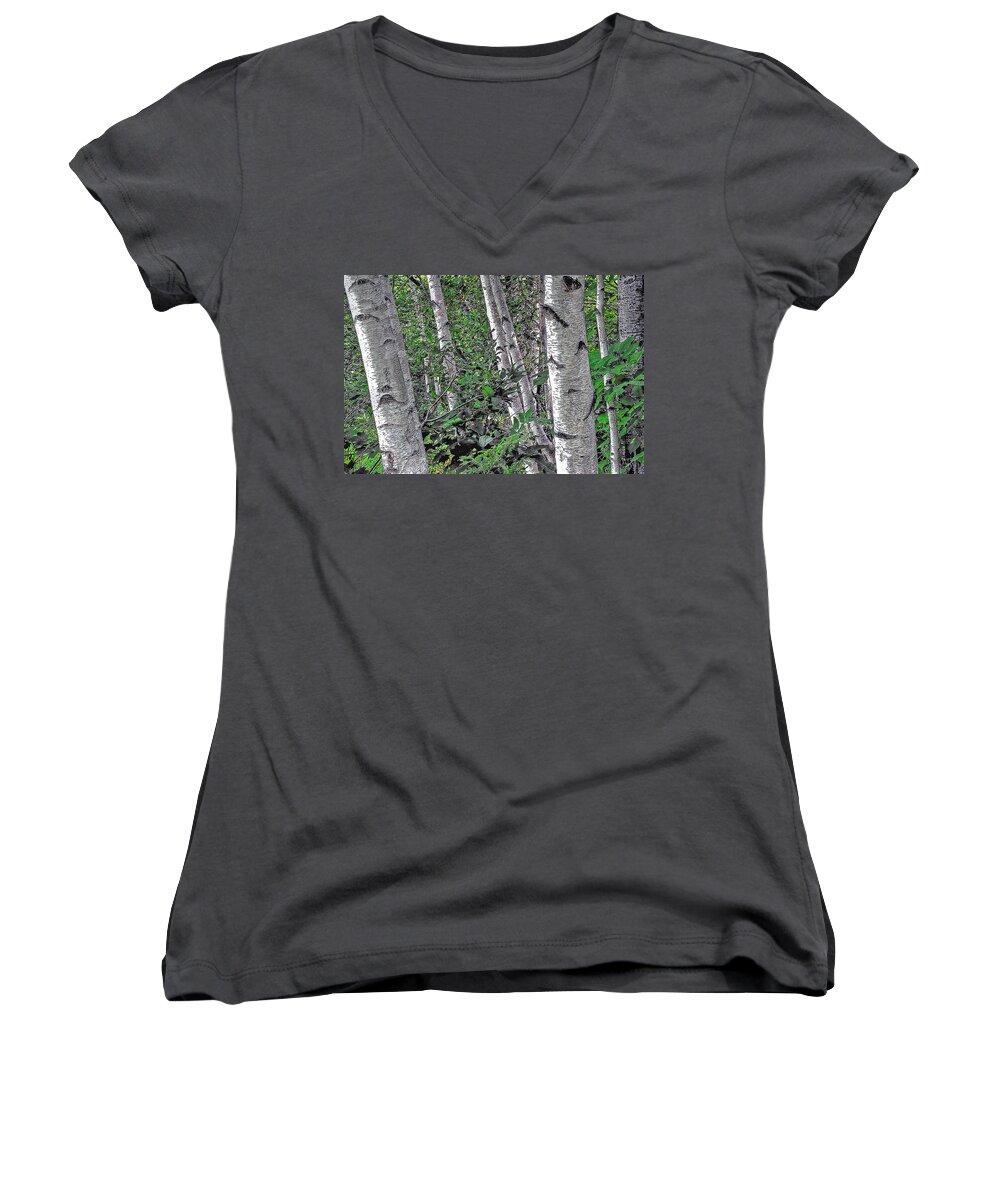 Trees Women's V-Neck featuring the photograph Birches by Phyllis Meinke