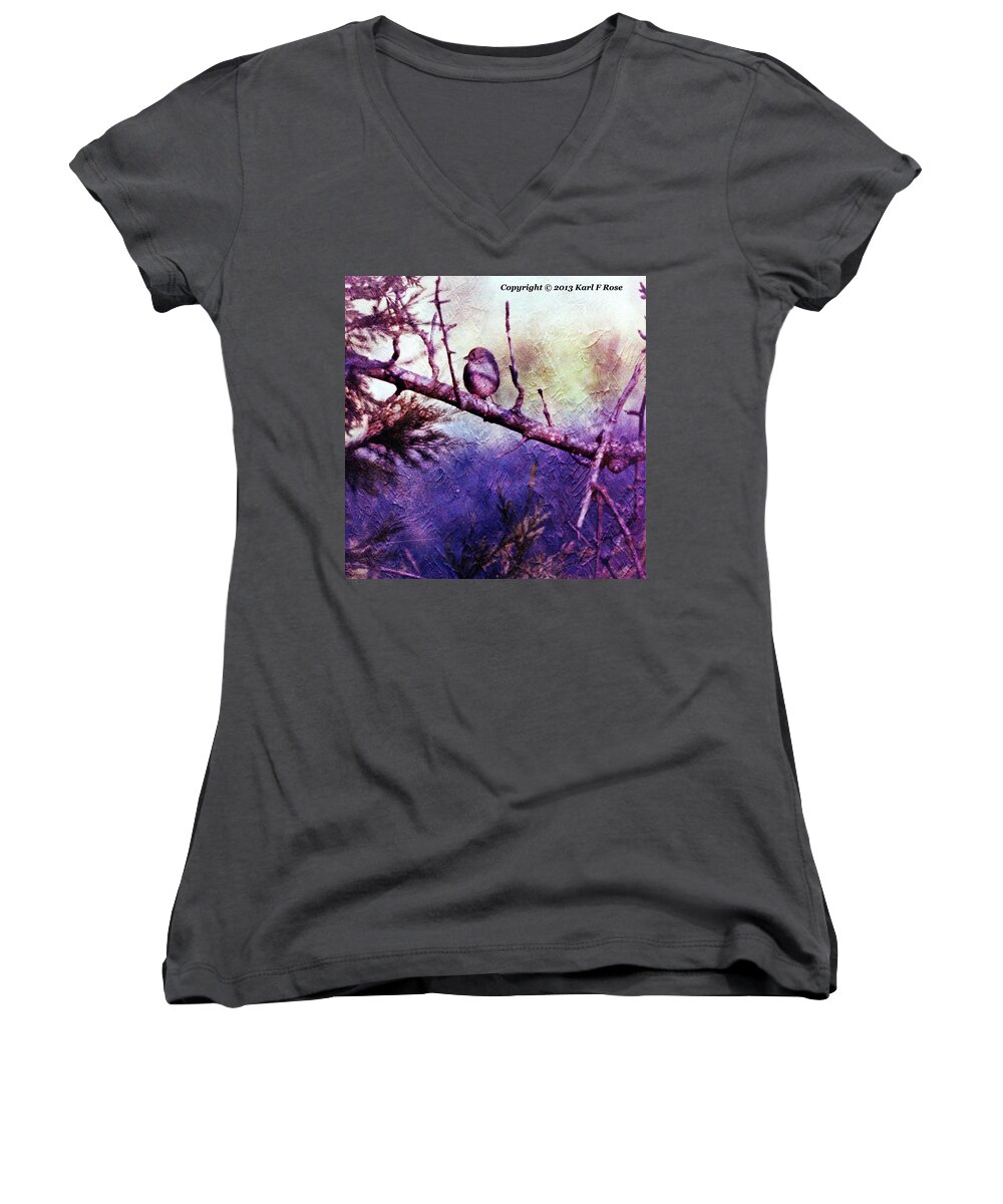 Birds Women's V-Neck featuring the photograph Bird in tree by Karl Rose