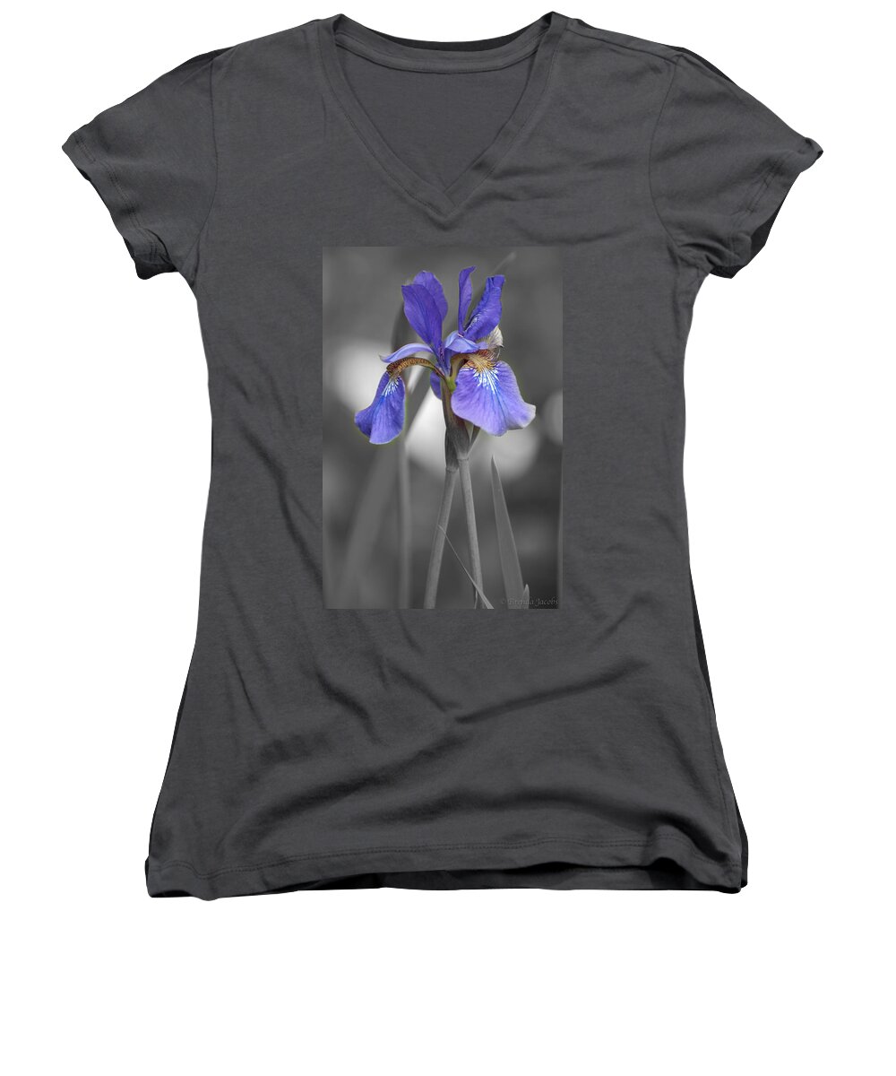Bearded Iris Women's V-Neck featuring the photograph Black and White Purple Iris by Brenda Jacobs