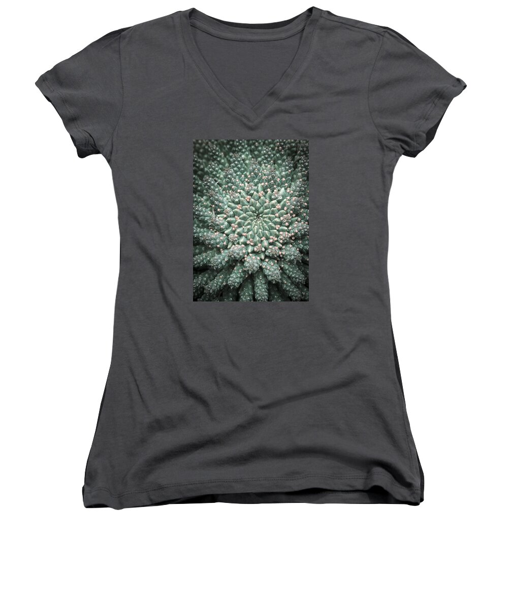 Succulent Women's V-Neck featuring the photograph Blooming Geometry by Caitlyn Grasso