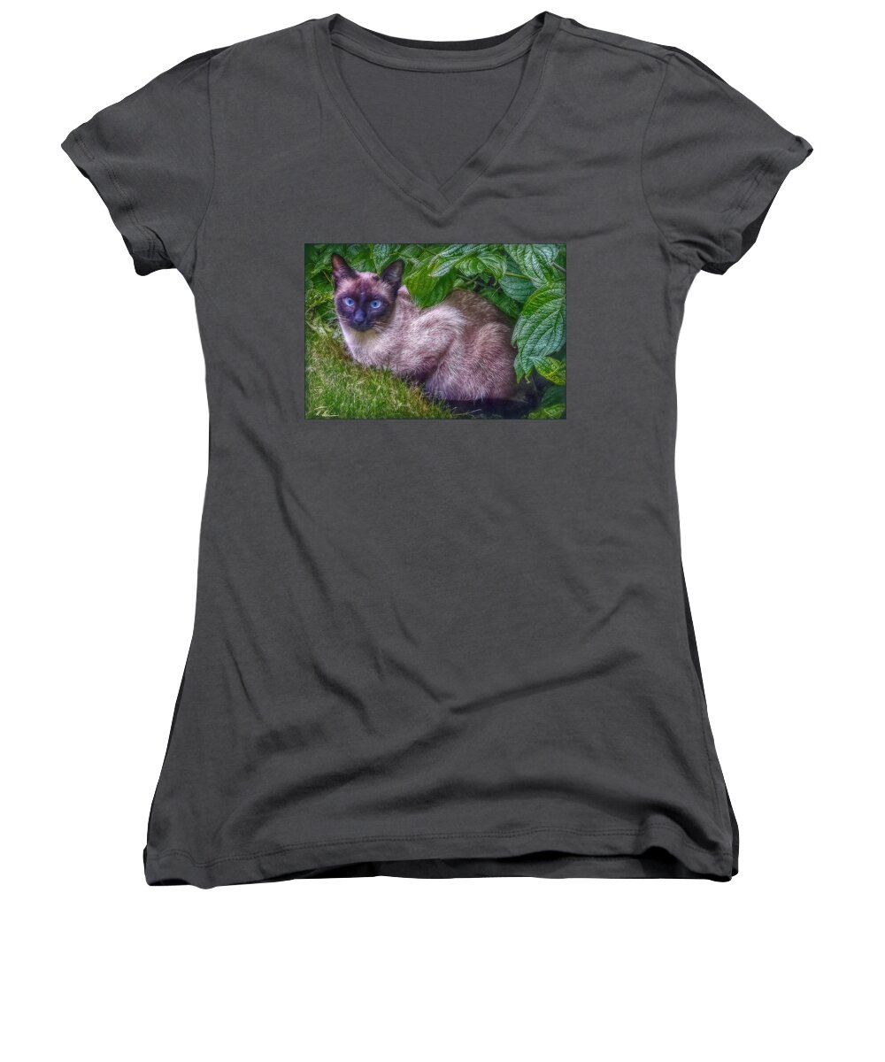 Cat Women's V-Neck featuring the photograph Blue Eyes - signed by Hanny Heim