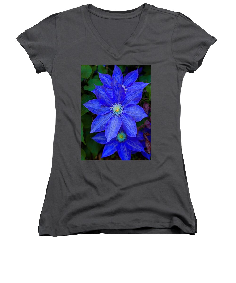 Blue Women's V-Neck featuring the photograph Blue on Blue by Dave Bosse
