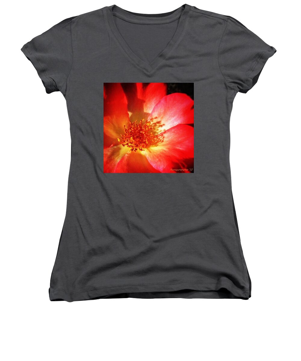 Flower Women's V-Neck featuring the photograph Brilliant Summer Rose by Anna Porter