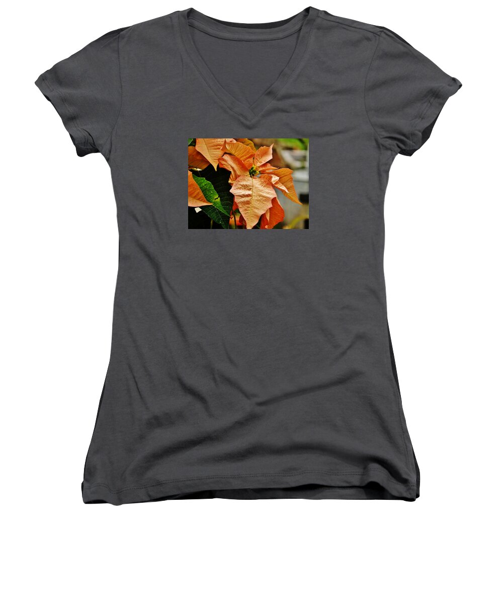 Plant Women's V-Neck featuring the photograph Bronze Poinsettia 5 by VLee Watson