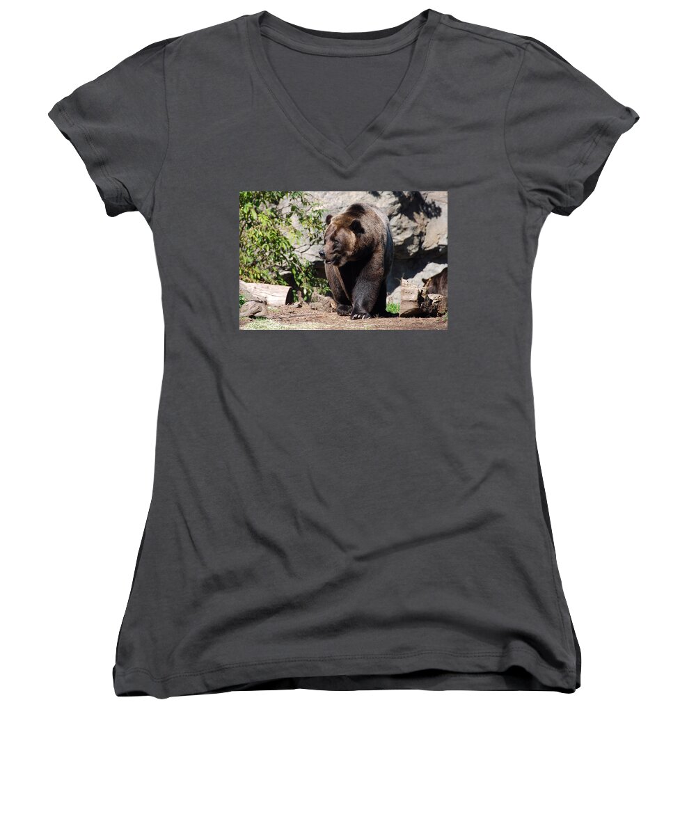Animals Women's V-Neck featuring the photograph Brown Bear by John Schneider