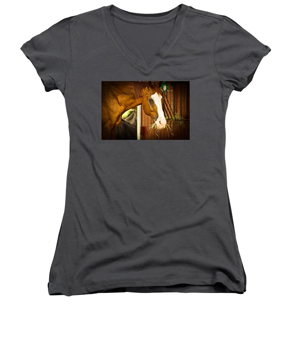 Equine Photographs Women's V-Neck featuring the photograph Brown Horse by Joann Copeland-Paul