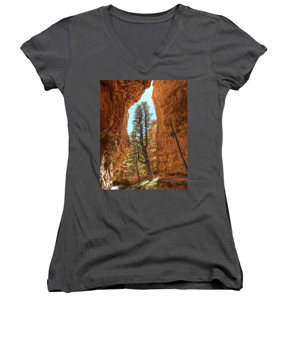 Pine Tree Women's V-Neck featuring the photograph Bryce Canyon Trees by Tammy Wetzel
