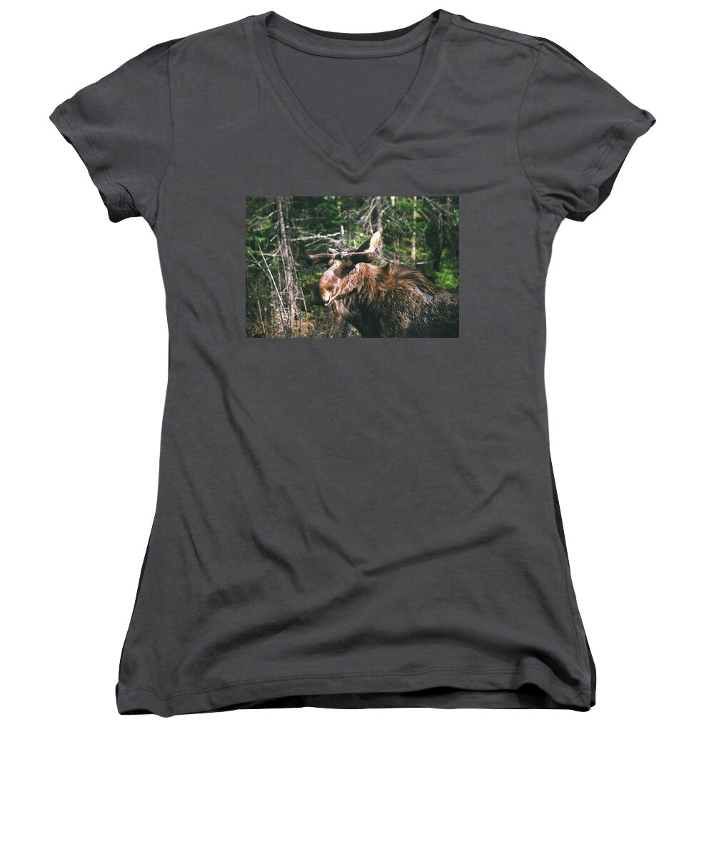 Moose Women's V-Neck featuring the photograph Bull moose in spring by David Porteus