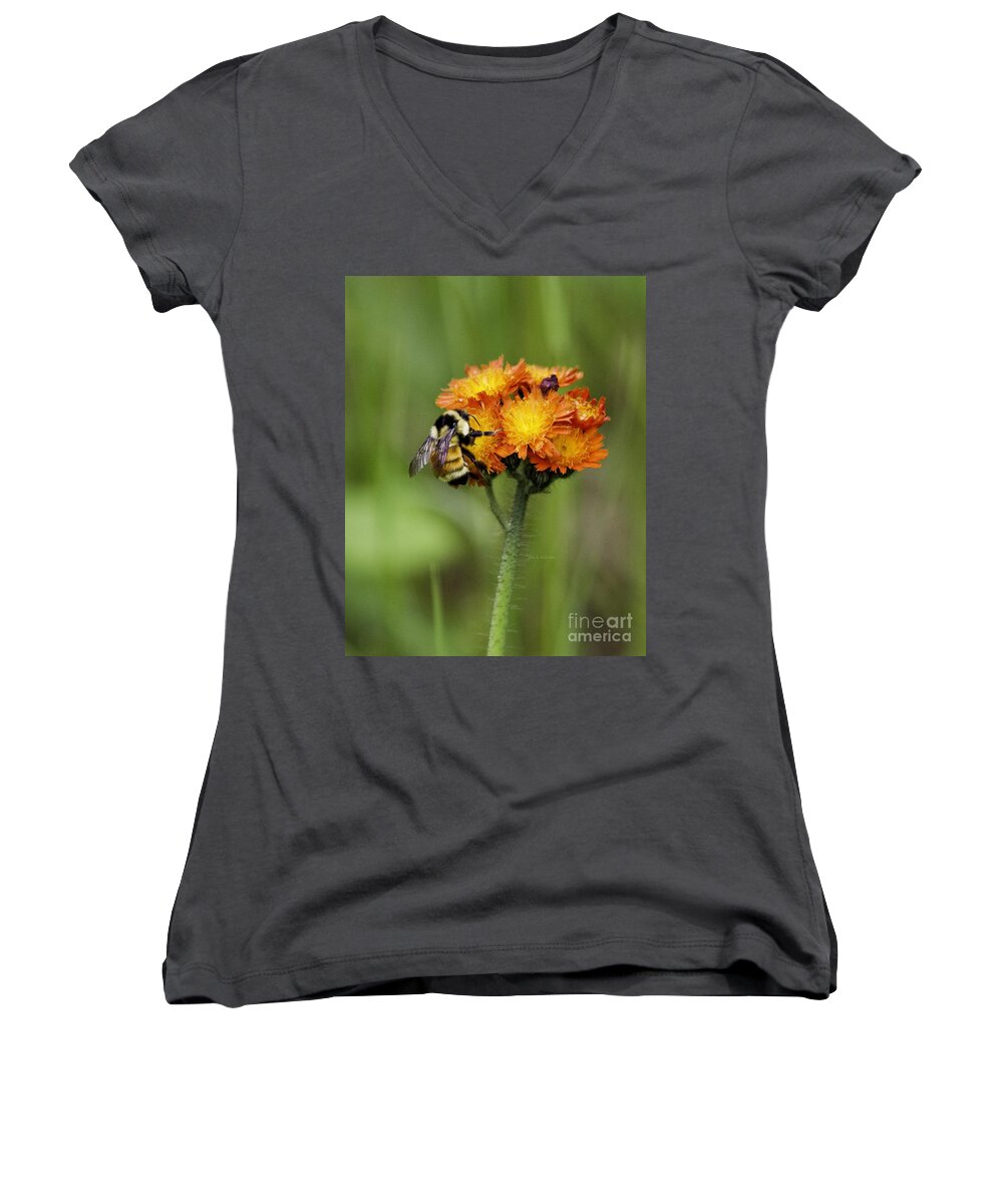 Bumblebee Women's V-Neck featuring the photograph Bumble and Hawk by Jan Killian