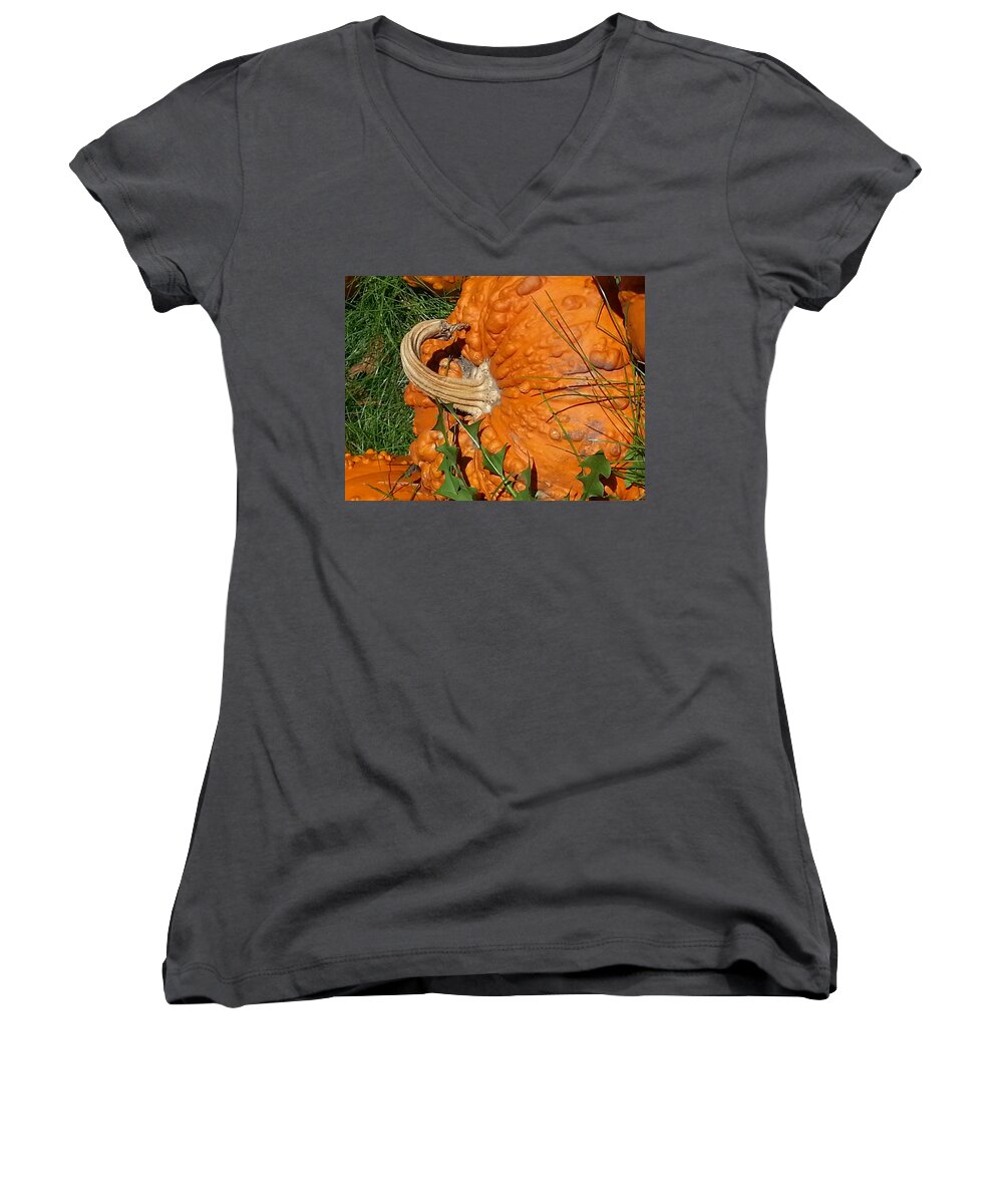 Pumpkin Women's V-Neck featuring the photograph Bumpy and Beautiful by Caryl J Bohn