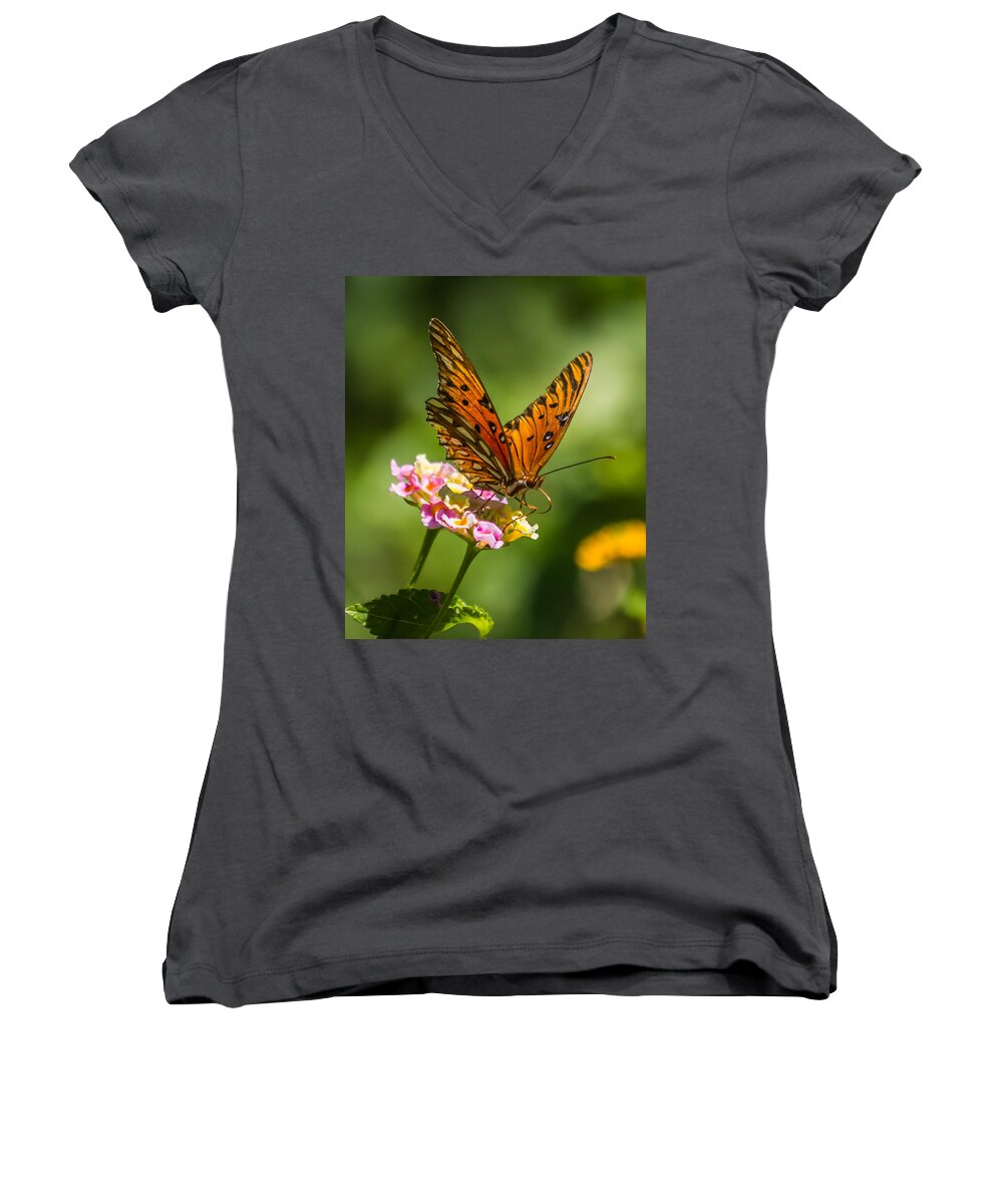 Butterfly Women's V-Neck featuring the photograph Busy butterfly by Jane Luxton