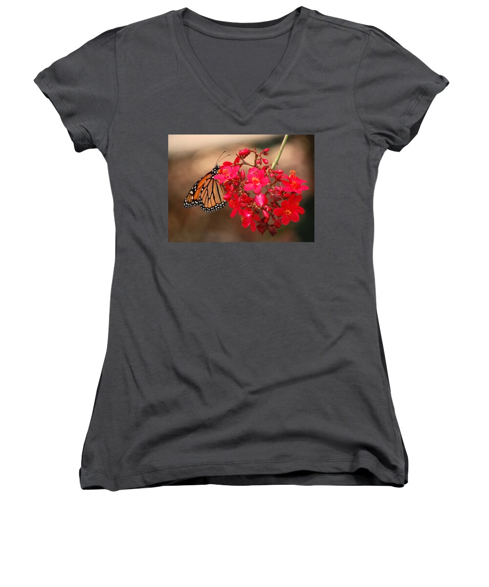 Red Women's V-Neck featuring the photograph Butterfly 1 by Leticia Latocki