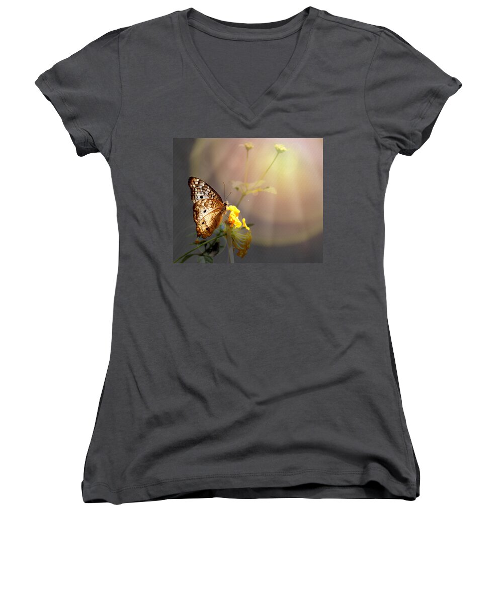 Butterfly Women's V-Neck featuring the photograph Butterfly Glow by Judy Vincent