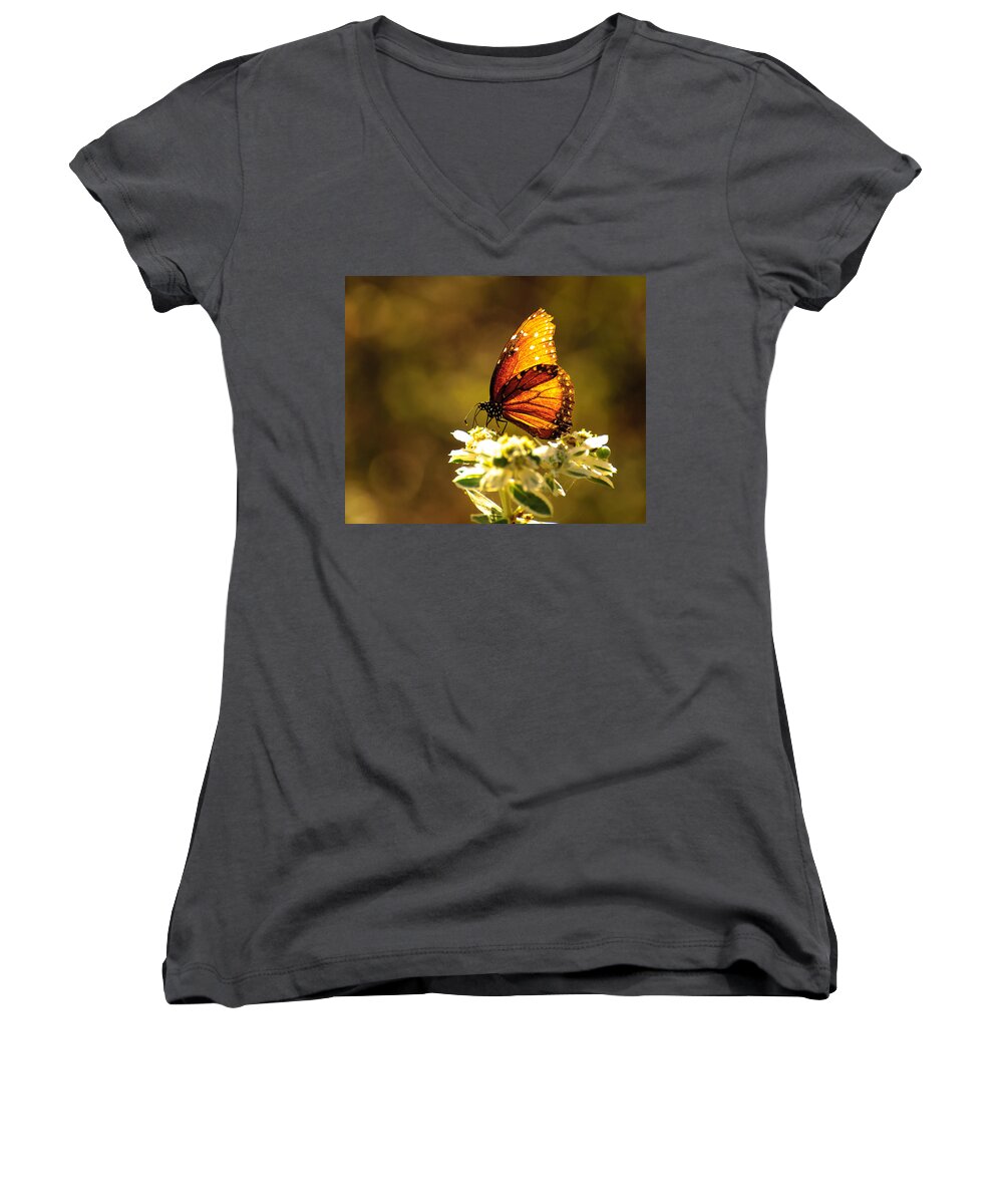 Butterfly Women's V-Neck featuring the photograph Butterfly in sun by John Johnson