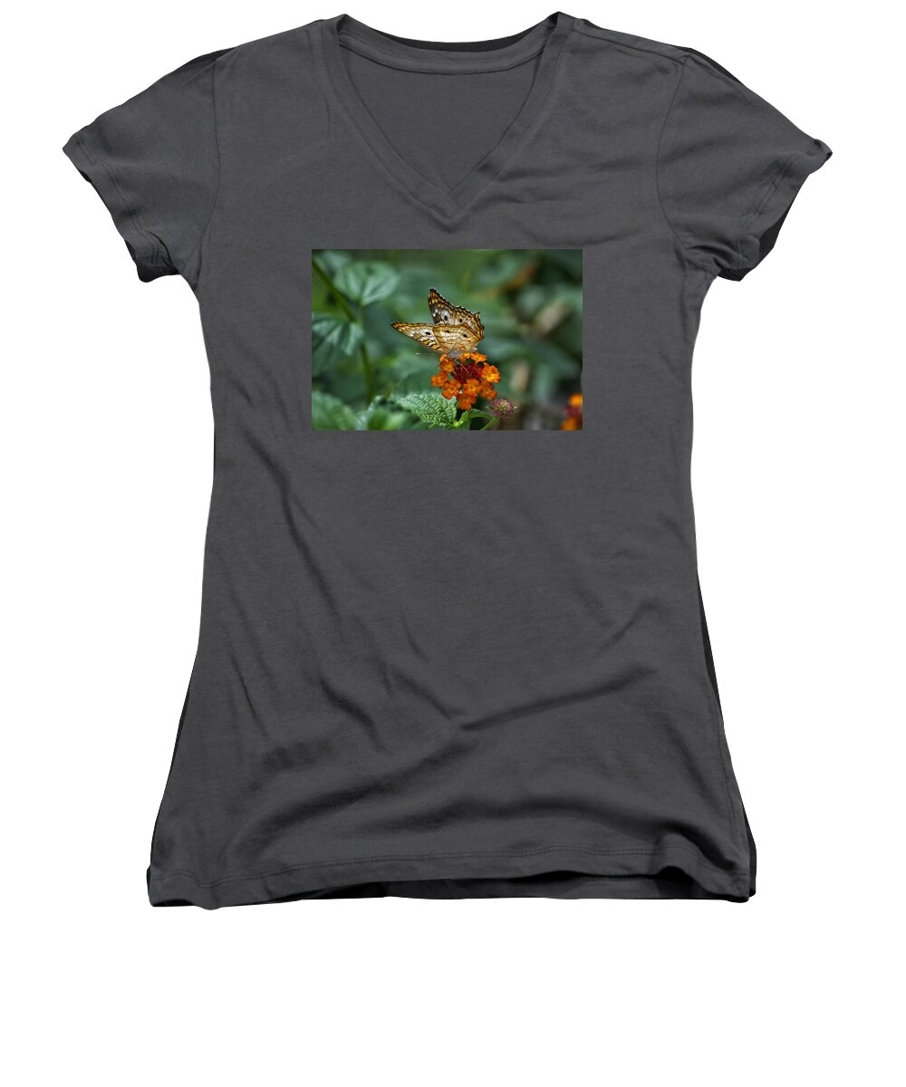 Butterfly Women's V-Neck featuring the photograph Butterfly Wings Of Sun Light by Thomas Woolworth