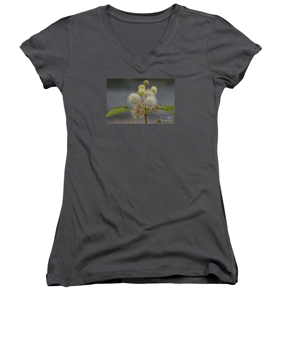White Flowers Women's V-Neck featuring the photograph Buttonbush by Randy Bodkins