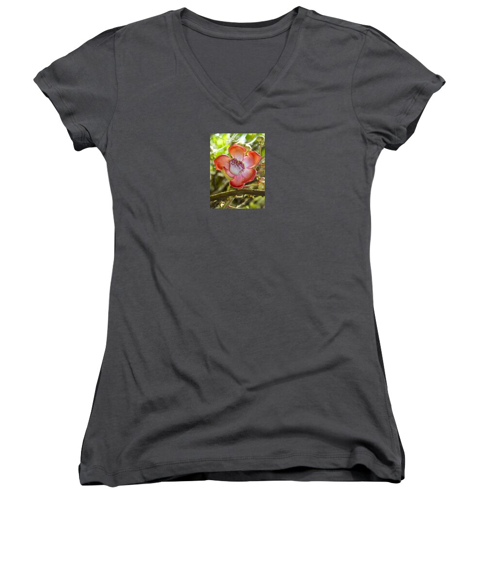 Couroupita Guianensis Women's V-Neck featuring the photograph Cannonball Tree Flower Hawaii by Venetia Featherstone-Witty
