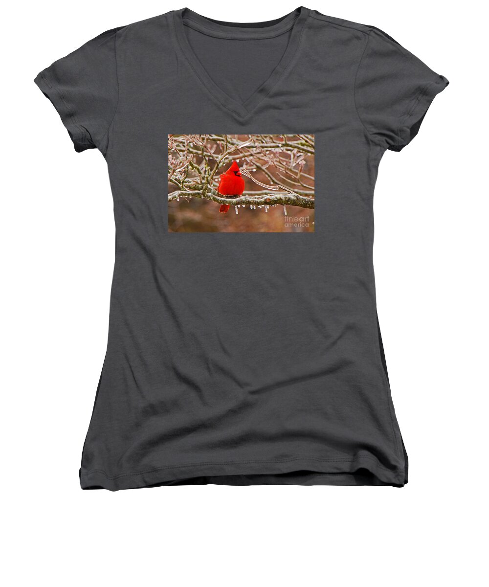 Avian Women's V-Neck featuring the photograph Cardinal by Mary Carol Story