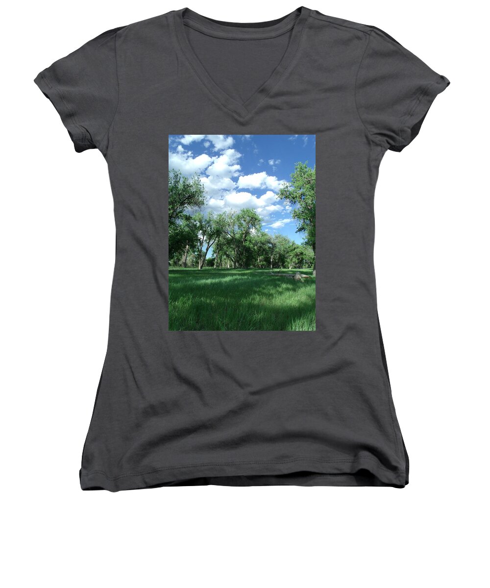 Trees Women's V-Neck featuring the photograph Casting Shadows by Jessica Myscofski