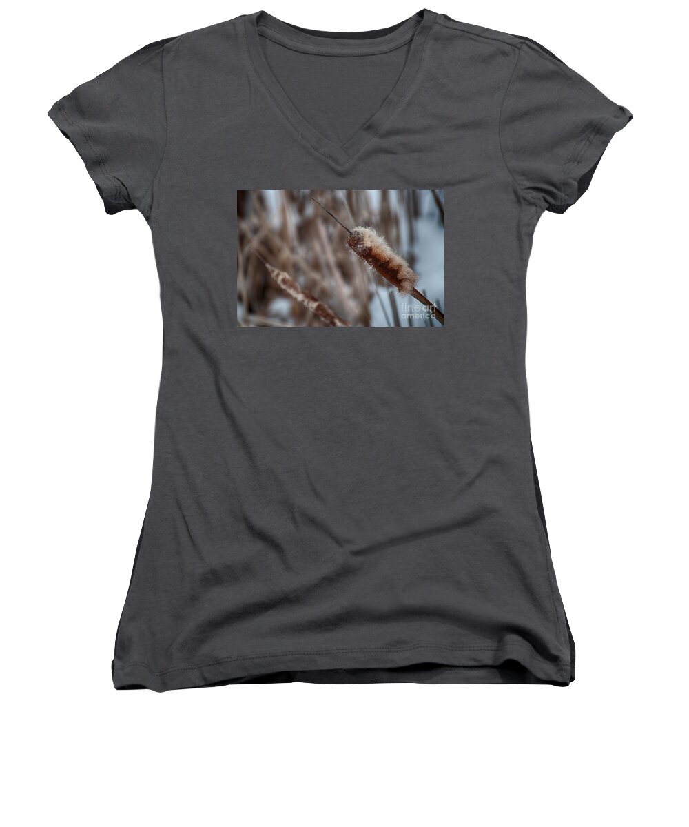 Cattail Women's V-Neck featuring the photograph Cattails by Bianca Nadeau