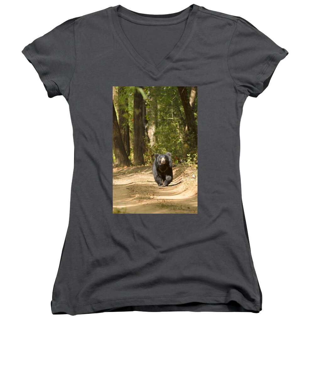 Sloth Women's V-Neck featuring the photograph Chance encounter with the Hairy One by Fotosas Photography