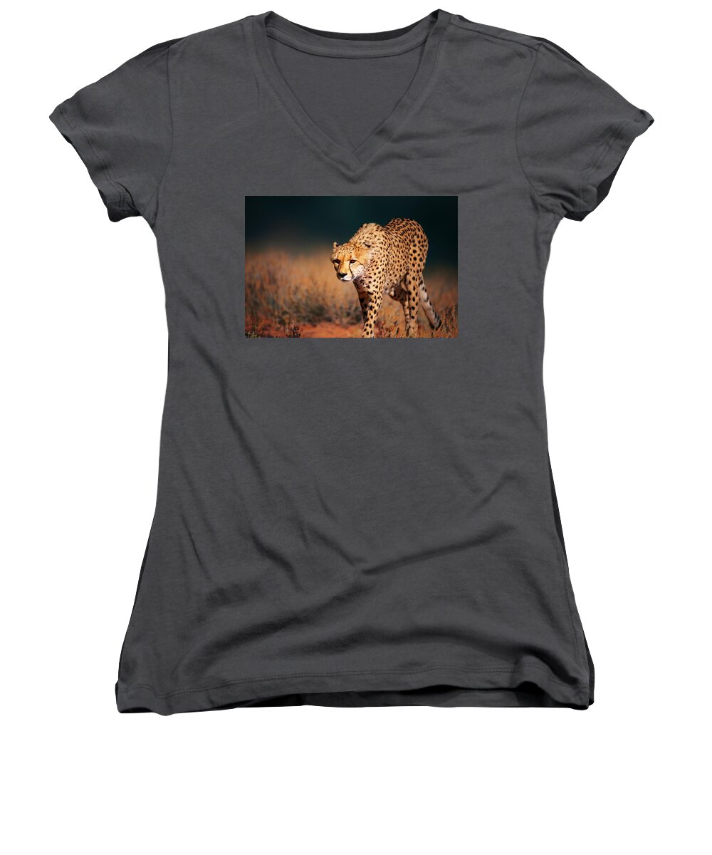 #faatoppicks Women's V-Neck featuring the photograph Cheetah approaching from the front by Johan Swanepoel