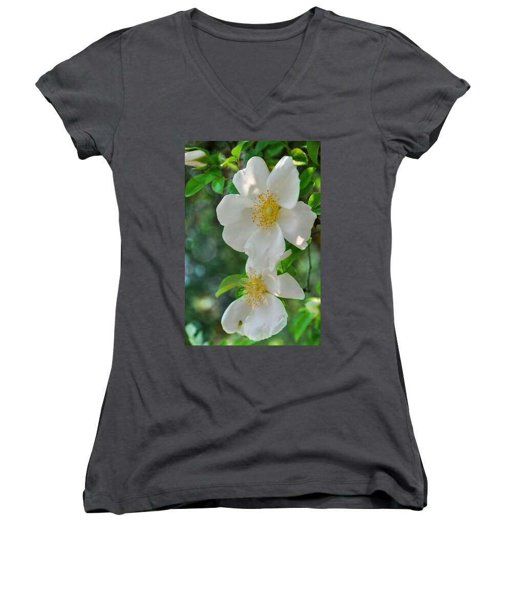 Floral Women's V-Neck featuring the photograph Cherokee Roses by Jan Amiss Photography