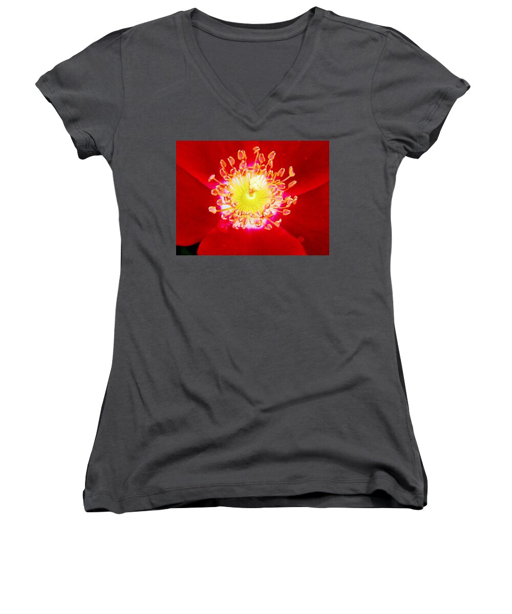 Rose Women's V-Neck featuring the photograph Cherry Pie Rose 02A by Pamela Critchlow