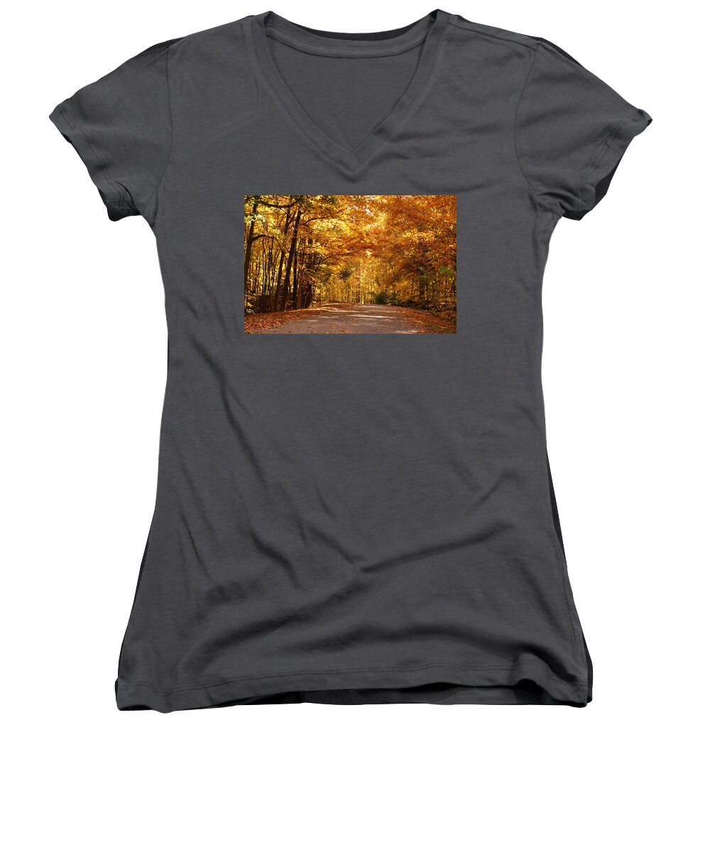 Autumn Women's V-Neck featuring the photograph Colorful Canopy by Sandy Keeton